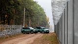 Одного забора мало: Польша строит второе заграждение на границе с Белоруссией