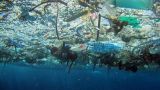 В океане к 2050 году будет больше пластика, чем рыбы: Госдеп США