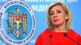 Призыв властей Молдавии избегать поездки в Россию — чушь собачья — Захарова