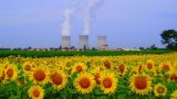 Самореклама до атома доведет: Киев заявил о широкомасштабной американской экспансии в ядерной энергетике