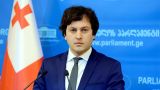 Кобахидзе: «Грузинской мечте» необходимо набрать более 50% на выборах