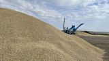 По прогнозам Путина, урожай зерна может превысить 140 млн тонн