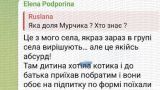 Яка доля Мурчика? Стала известна судьба кота, «мобилизованного» в Киевской области