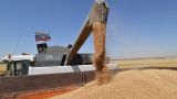 До 1 июля Россия будет экспортировать зерновые только в страны ЕАЭС