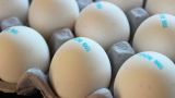 Французам не хватает яиц — данные статистики