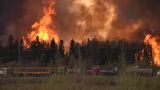 Власти Канады привлекли армию к тушению масштабных лесных пожаров