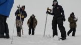 В Британии удумали повторно заморозить Арктику за миллионы фунтов