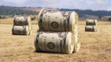 Правительство Украины предлагает разрешить продажу земель сельхозназначения с 2017 года