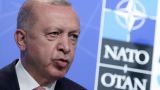 Эрдоган назвал условия согласия Турции на вступление Финляндии и Швеции в НАТО