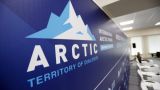 Президент Финляндии приедет в Петербург на Арктический форум