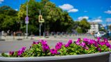 Крым не вписывается в доступную мощность: идут новые отключения
