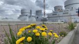 Энергоблоку Ленинградской АЭС мешает лопатка