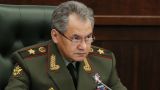 Шойгу: В ВС России созданы войска информационных операций