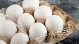 Finland refused to export eggs to the USA