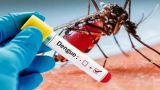 ВОЗ предупреждает о росте случаев лихорадки денге в Афганистане