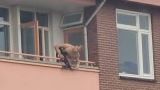 Охотник из Нидерландов стрелял из арбалета прямо с балкона: двое убитых