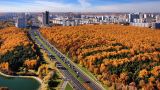 Гидрометцентр прогнозирует приход в Москву «золотой осени»
