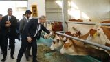 Пашинян посетил бурëнок на «умной» ферме: армянская экономика не сбавляет обороты