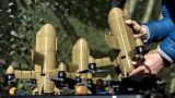 Военные России научились обнаруживать «Шершней» ВСУ еще на подлете
