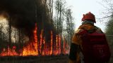 В Якутии потушили более семи тысяч гектаров лесных пожаров