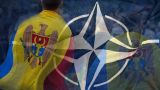 Молдавия продолжит развивать партнерство с НАТО «во имя мира» — МИДЕИ