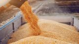 Молдавия продлила ограничения на ввоз украинского зерна