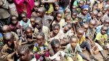 В Западной Африке под угрозой смерти от голода могут оказаться 38 млн человек