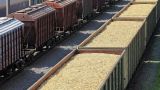 Транзит украинского зерна через Молдавию упростят: санконтроль отменен