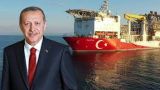 Эрдоган: Турция начнет добычу газа в Черном море к 2023 году