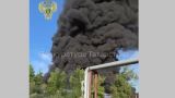 Прокуратура Татарстана: площадь пожара в Набережных Челнах составила 10,8 тыс. кв. м