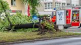 Мощный шторм над Берлином унёс жизнь женщины