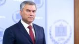 Володин: Госдума предложила установить День памяти всех жертв войны на Донбассе