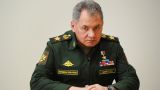 Шойгу: Россия передаст Сирии комплекс С-300 по поручению Путина