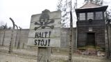 Смертельный номер: у ворот Освенцима в Польше установили киоск с мороженым