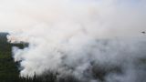 Горит юг Приморья: пожары подходят к Владивостоку