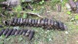 Эстонские саперы нашли 203 боеприпаса времен войны