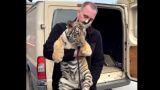 Раненый тигренок Шерхан из ДНР обрел новый дом в подмосковном парке диких животных