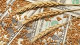 Цены на экспорт пшеницы из России достигли рекордной величины за семь лет