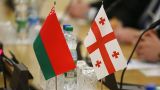 Белоруссия и Грузия планируют создать совет делового сотрудничества