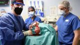 В США человеку впервые успешно пересадили сердце свиньи