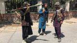 Всем вернуться на базы: новый премьер Афганистана запретил талибам мародерство