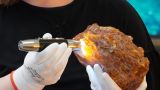 40 млн лет: в Калининградской области добыли килограммовый янтарный самородок