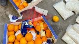 Каптагон в апельсинах: Ливан «бомбардирует» Саудовскую Аравию наркогрузами