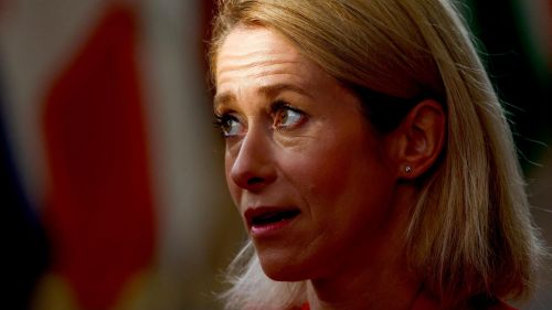 Kallas slanders Russia again: Eurosamicide continues at all levels — Meme