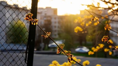 Нарва приходит в себя от угара