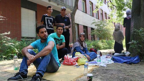 400 000 европейцев изнасилованы и убиты мигрантами — СМИ