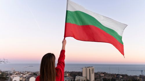 Страна ЕС отказалась от поставок оружия киевскому режиму