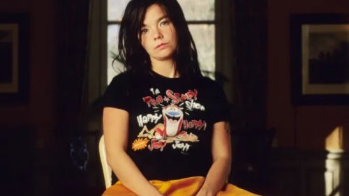 Queen of condoms: fans did not appreciate Bjork's extravagant outfit