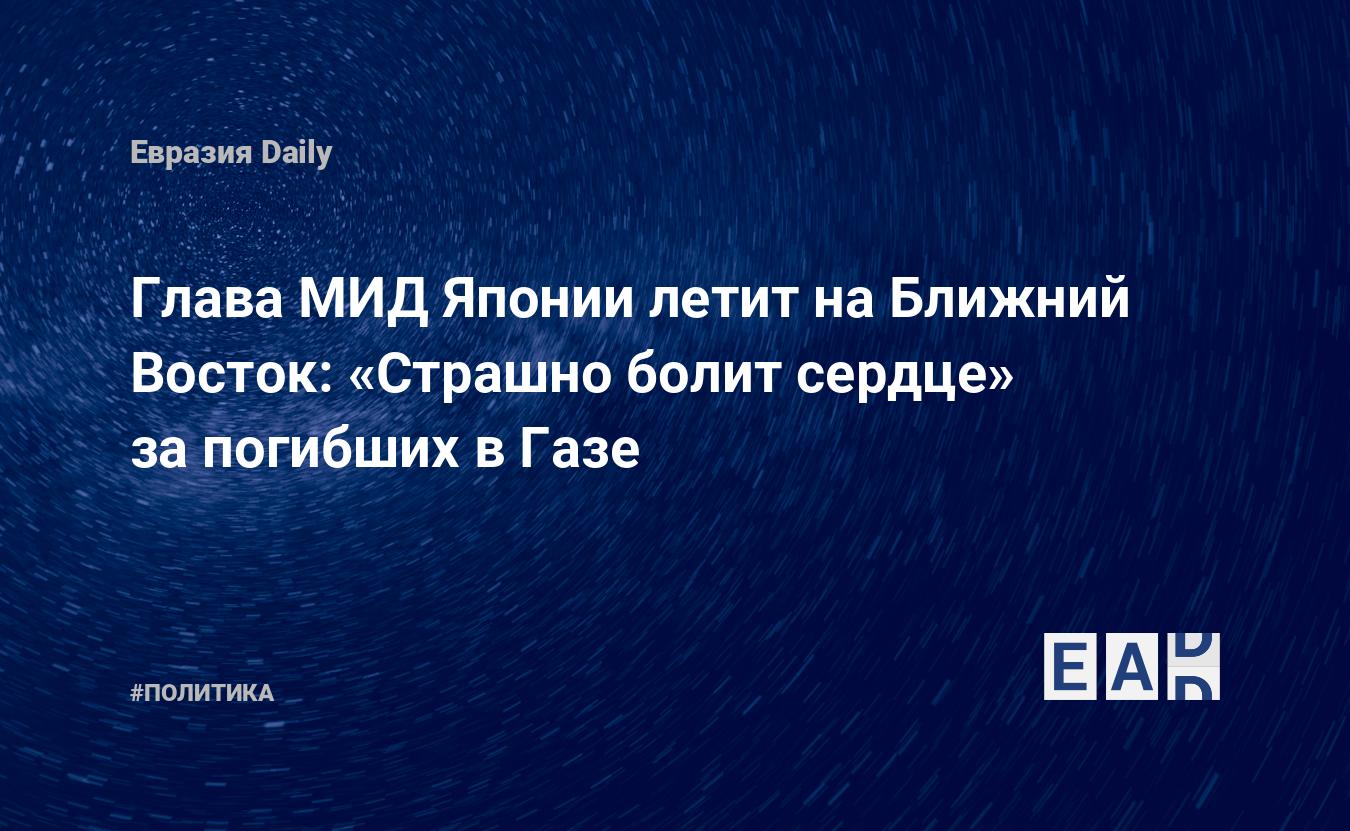 Глава МИД Японии летит на Ближний Восток — «страшно болит сердце» за  погибших в Газе. Новости Японии. Новости. Япония новости. Новости сегодня.  Новости часа — EADaily