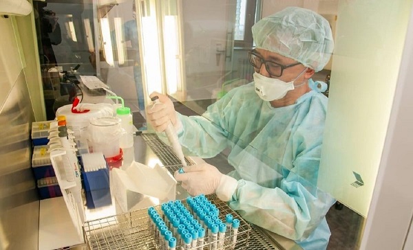Ученые рассказали об успешном испытании на мышах вакцины от коронавируса — Технологии, Новости США — EADaily